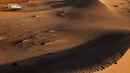 Nat Geo Wild: Гонка жизни. Рептилии