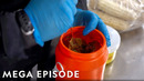 Border Patrol’s Biggest Smuggling Busts | To Catch a Smuggler MEGA Episode