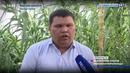 Фарғона вилоятида Балиқчилик соҳаси ривожлантирилмоқда