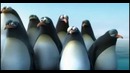 Как надо действовать в случаи опасности