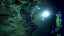 10 самых древних животных, которые не вымерли
