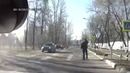 Добрый полицейский помог кошке