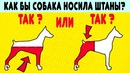 14 Детских Загадок, Которые не каждый взрослый сможет разгадать