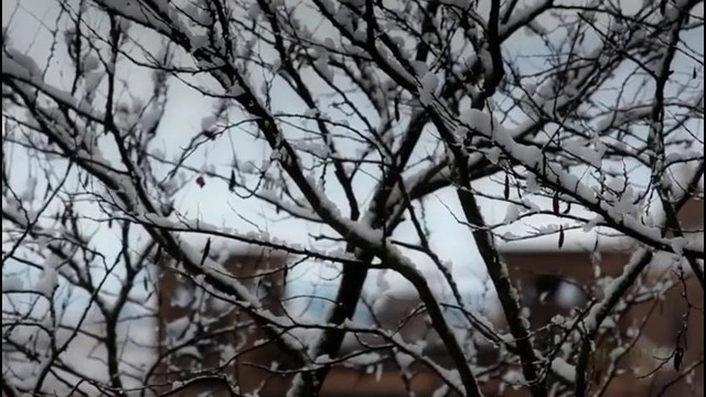 Что, если снег будет идти вечно