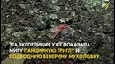 Космическая медуза
