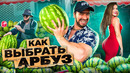 КАК ВЫБРАТЬ АРБУЗ by Drakon