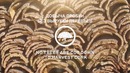 Eco Probka