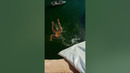 Slide OFF CLIFF