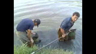Добывание мотыля на рыбалке