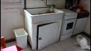 Кот учится ходить по воздуху