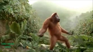 Funny Ape Song. Cartoon Parody. Dance Music Pop Songs