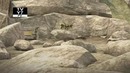 Transformers Prime S02E22 Hard Knocks