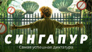 Сингапур: роскошь без коррупции, жизнь без свободы. Деревья-роботы, русские мигранты и уличная еда