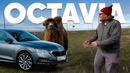 Новая Skoda OCTAVIA – Большой тест-драйв
