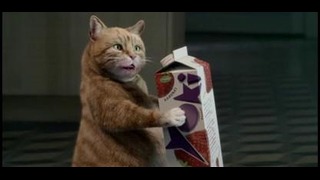 Пугающий кот в рекламе соков Yoki