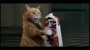 Пугающий кот в рекламе соков Yoki