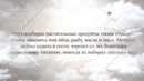 Известные вегетарианцы