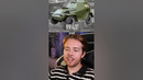 Эволюция автомобилей