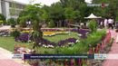 Namangan Xalqaro Gullar festivali o‘tkazilmoqda