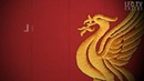 Happy 120 Birthday – A Liverbird upon my chest