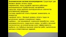 Вознаграждение за труд и компенсационная политика организации