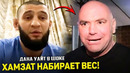 СРОЧНО! Хамзат Чимаев переходит в ПОЛУТЯЖИ / Чимаев ВЫЗВАЛ Яна Блаховича