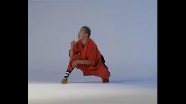 Shaolin kung-fu. 20 стиль обезьяны