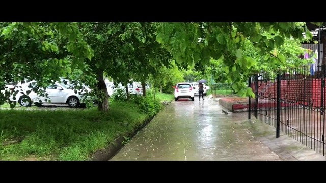 В Ташкенте весенние дожди! Toshkent Bahor yomg`iri