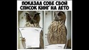 Лютые приколы. Гопанём весь мир