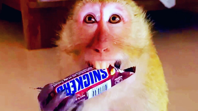 Insane Asia Fails Compilation | Moments of Instant Regret