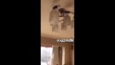 Землетрясение в Ташкенте 9й этаж
