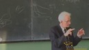 21. Биохимия гормонов. Часть 1