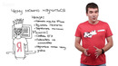 Вводное занятие. Курсы программирования e-student