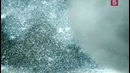 Кельтские чудовища. Великаны. 5 серия. Документальный фильм