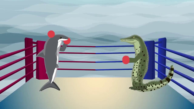 Мир инфографики – Крокодил против Большой Белой Акулы – Кто бы победил в действитель