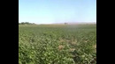 Капельное орошения в Узбекистане