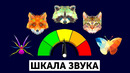 Как далеко слышат разные животные
