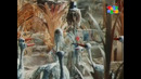 1978 год – Когда прилетают аисты (П. Амиров, З. Ройзман)