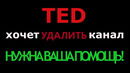 Ted пытается удалить канал. нужна ваша помощь! boosty