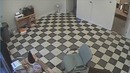 Пёс защищает своего хозяина от нападения