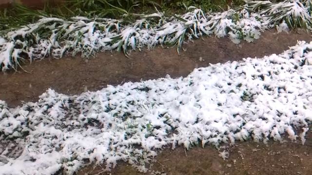 Огромные хлопья снега