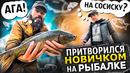 ПРАНК! Ловлю КУПЛЕННУЮ рыбу на СОСИСКУ! 6 часть, рыбаки НЕ ВЕРЯТ своим глазам Типа Новичком