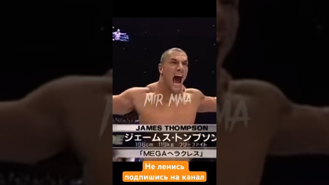 Александр Емельяненко накаутировал борзого бочару! #shorts