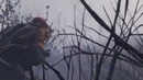 Криповая история Сиреноголовый