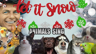 Frank Sinatra – Let It Snow! (Animal Cover)
