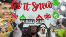 Frank Sinatra – Let It Snow! (Animal Cover)