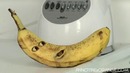 Annoying Orange – He Will Mock You
