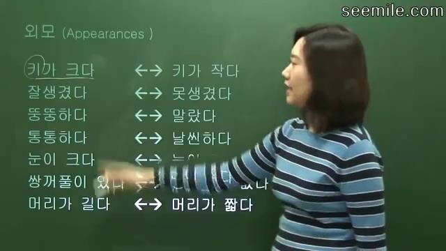 Grammar + Basic phrases by Jenny Lee 18