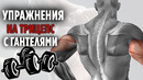 Лучшие Упражнения на Трицепс с Гантелями