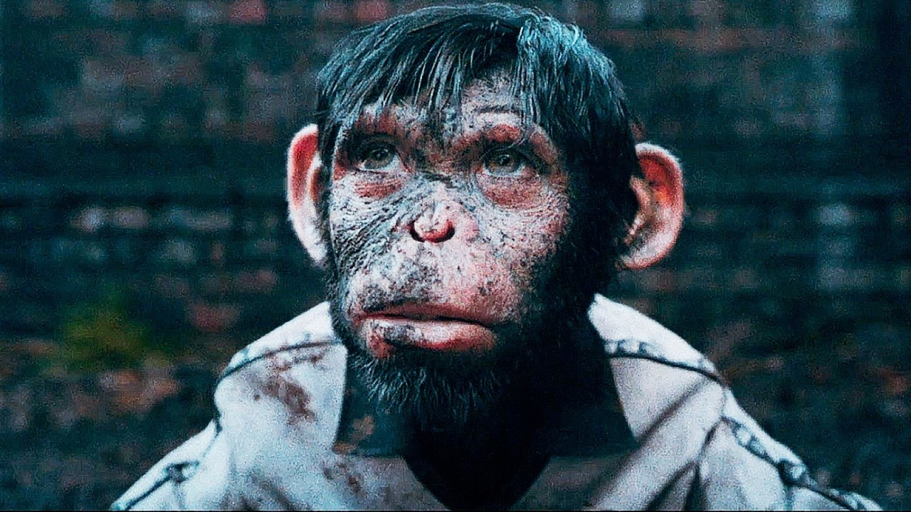 Быть лучше: История Робби Уильямса — Русский трейлер (Дубляж, 2024 ...